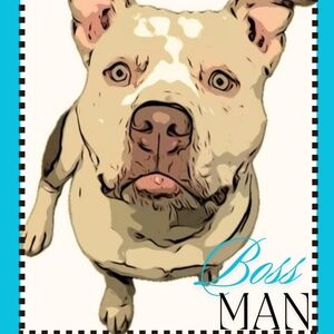 Meet your Posher, Aimee